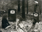picnic.jpg
